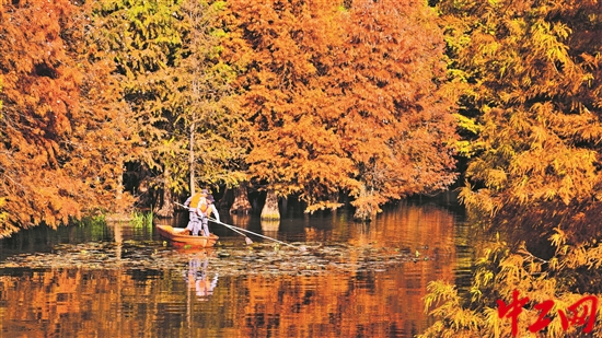 3246744_tpzz_1764916750183_b