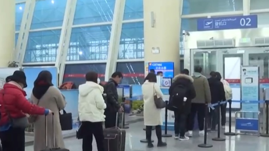 “冰雪经济”为冬季消费注入强劲动能 “冰雪+”多样化体验激活新引擎