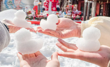 “雪假”玩雪 快乐加倍