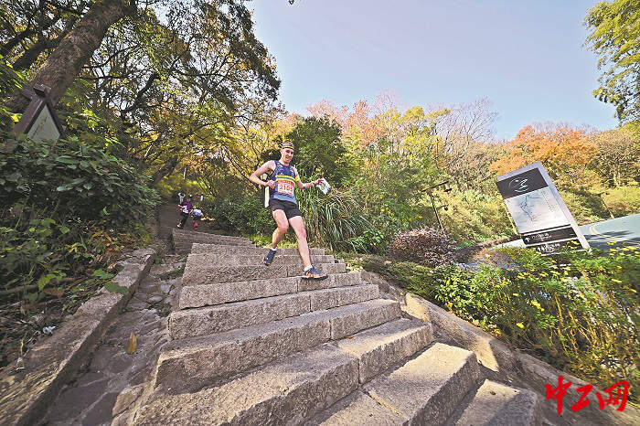 3251713_tpzz_1765259478992_b 3251713_tpzz_1765259478992_b