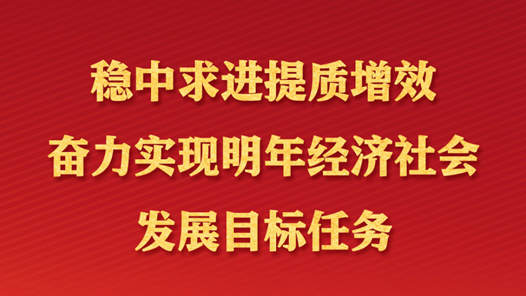 稳中求进提质增效 奋力实现明年经济社会发展目标任务——与会同志谈贯彻落实中央经济工作会议精神