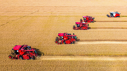 全年粮食生产再次实现高位增产