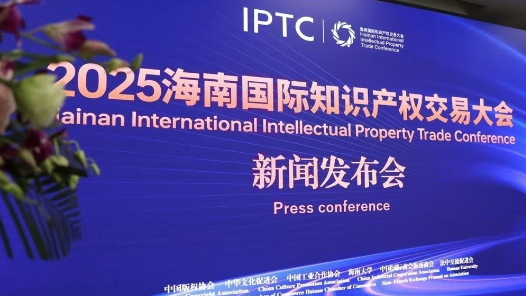 2025海南国际知识产权交易大会中国农业国际交流协会高质量发展研讨会成功举办