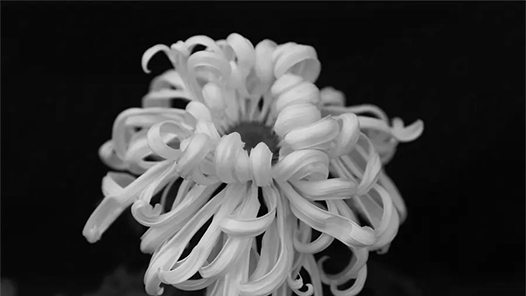 王丙乾同志生平