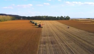 2025年粮食实现丰收 稳定在1.4万亿斤以上