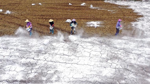 农业农村部：“十四五”期间新建改造提升高标准农田4.6亿亩