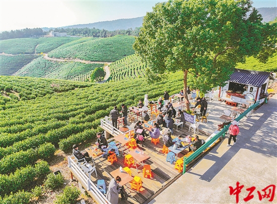 3260538_tpzz_1765808501123_b