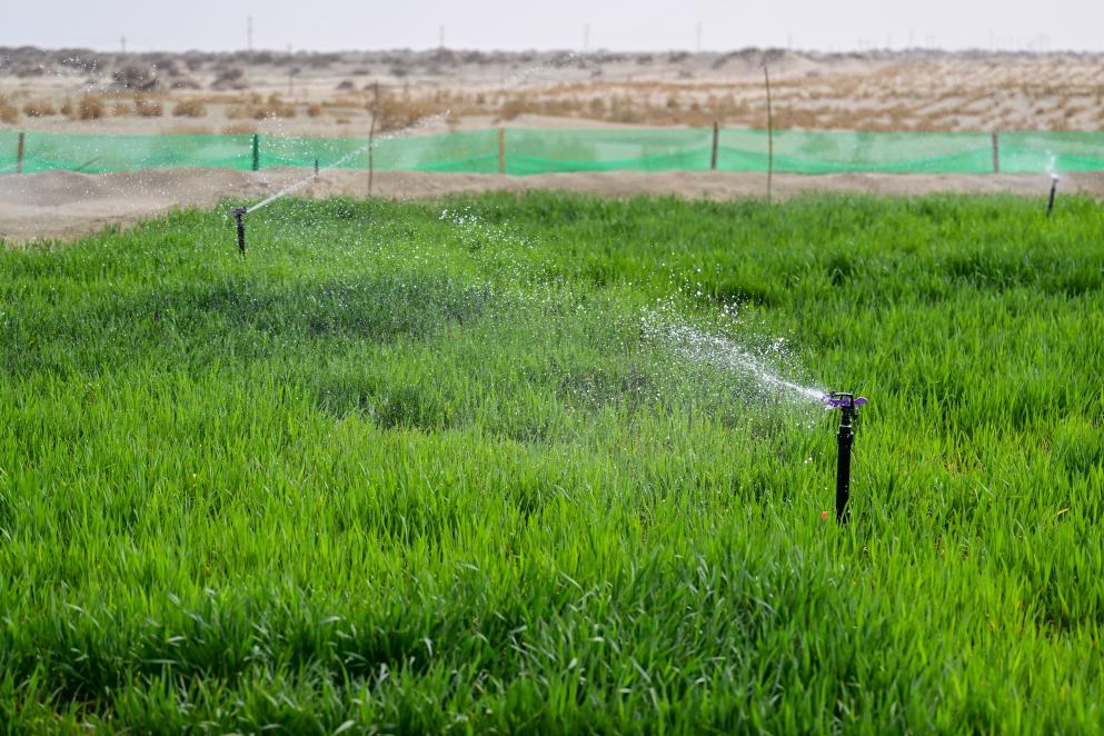 mjqamqkRIjnvCDdJ mjqamqkRIjnvCDdJ