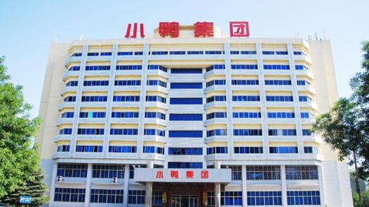 以品牌赋能 文化铸魂——打造老国企高质量发展“小鸭样本”