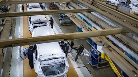 广种福田凝聚中国力量