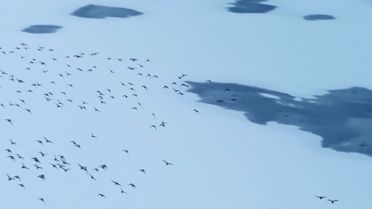 微短剧《我和小勺子》