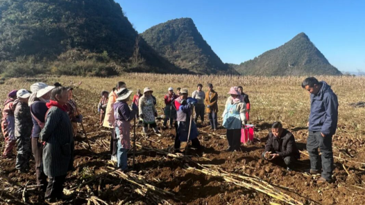 贵州省六盘水市钟山区总工会开展“劳模工匠助企行”活动