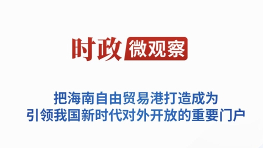 时政微观察｜潮起海之南，奋楫再扬帆