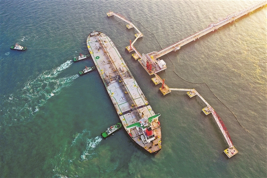 3264212_tpzz_1766070075128_b 3264212_tpzz_1766070075128_b