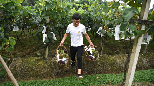 “娘家人”扎根乡村后……