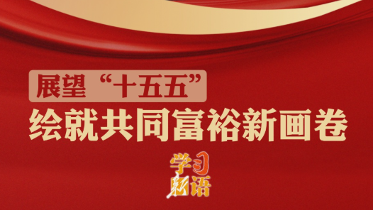 学习新语·展望“十五五”｜绘就共同富裕新画卷