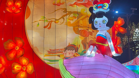 第29届杨柳青灯展马年春节亮灯