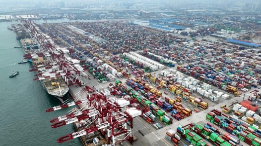 学习贯彻党的二十届四中全会精神｜扩大高水平对外开放