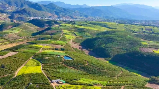 迈向“十五五”的发展图景·大国小村丨一个村何以集聚58家法兰锻造企业