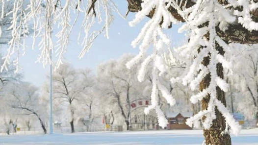 燃情冰雪季丨琼花漫舞黑龙江宁安城