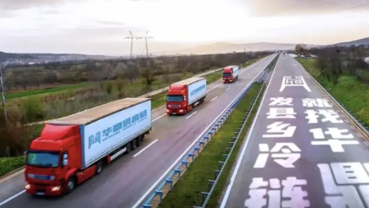 “十四五”时期我国冷链基础设施实现跨越发展