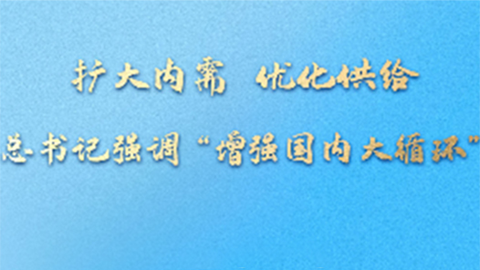 一习话｜扩大内需 优化供给 总书记强调“增强国内大循环”