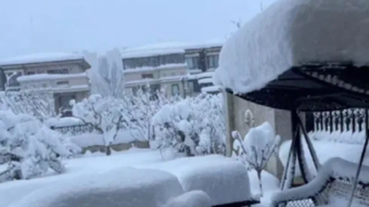 文化中国行·二十四节气二十四问丨山东烟台、威海为何成“雪窝”