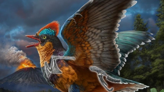 科学与健康｜改写生命演化史！2025我国古生物学研究在多领域取得突破