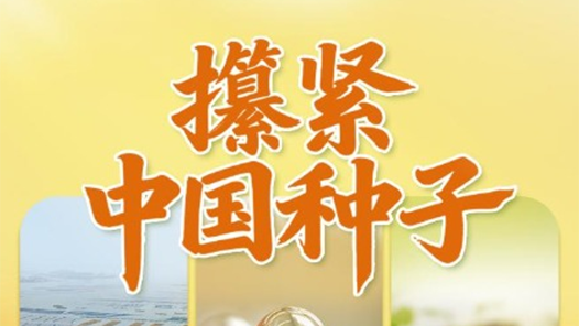 习近平总书记关切事丨攥紧中国种子
