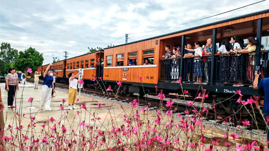 云南四地将联合打造跨区域文旅品牌