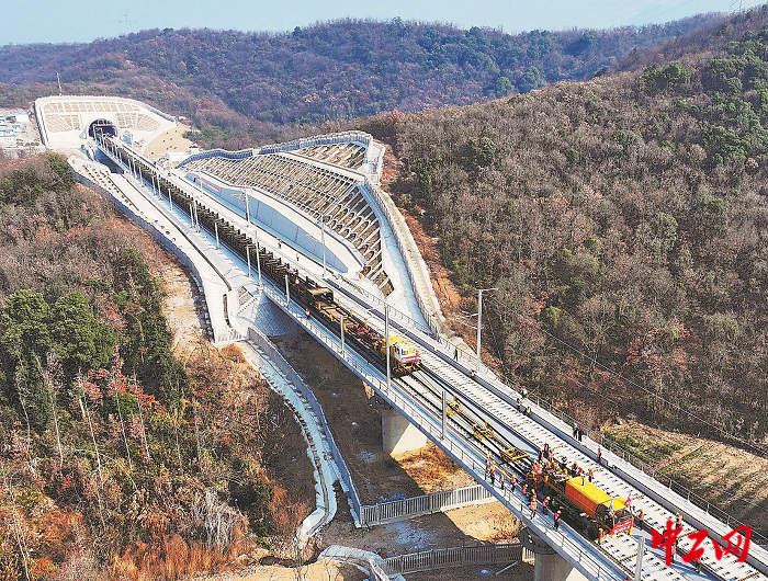 3266372_tpzz_1766326992028_b