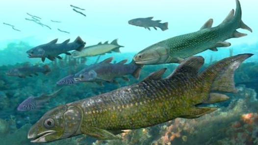 鱼离开水也能呼吸？我国科学家揭开早期肺鱼演化的关键密码