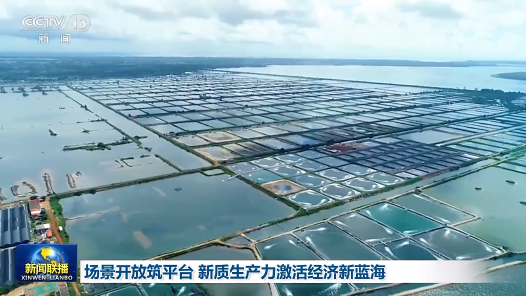 场景开放筑平台 新质生产力激活经济新蓝海