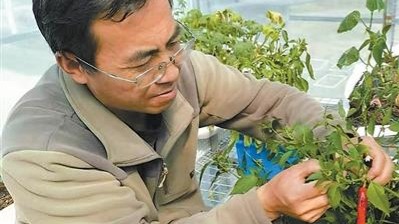 守望｜让高原农牧民一年四季吃上新鲜菜