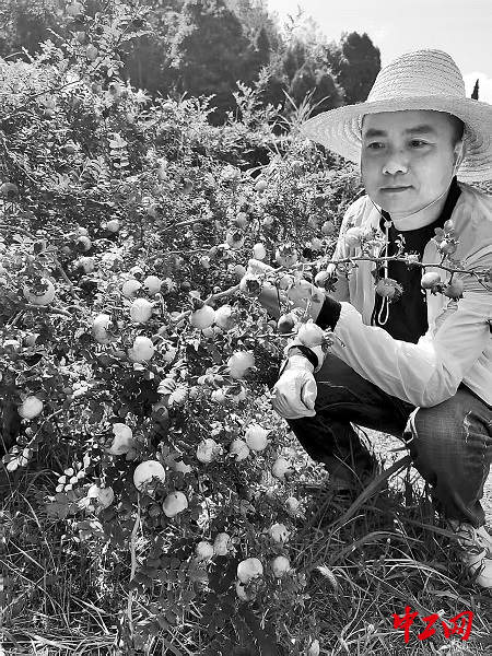 3267960_tpzz_1766472798430_b