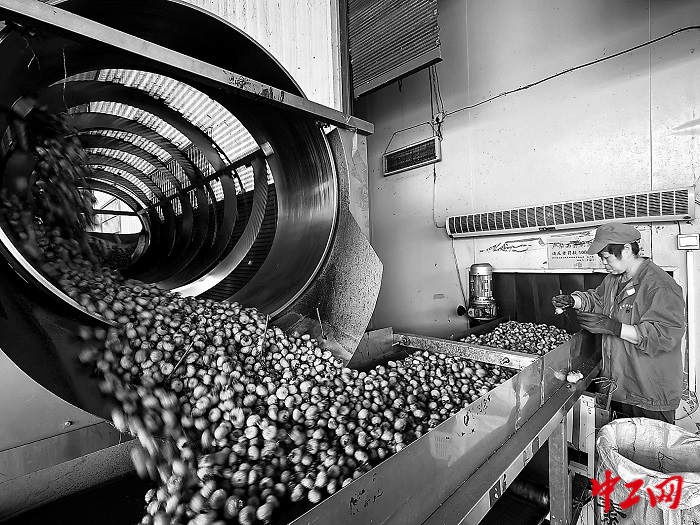 3267959_tpzz_1766471017310_b