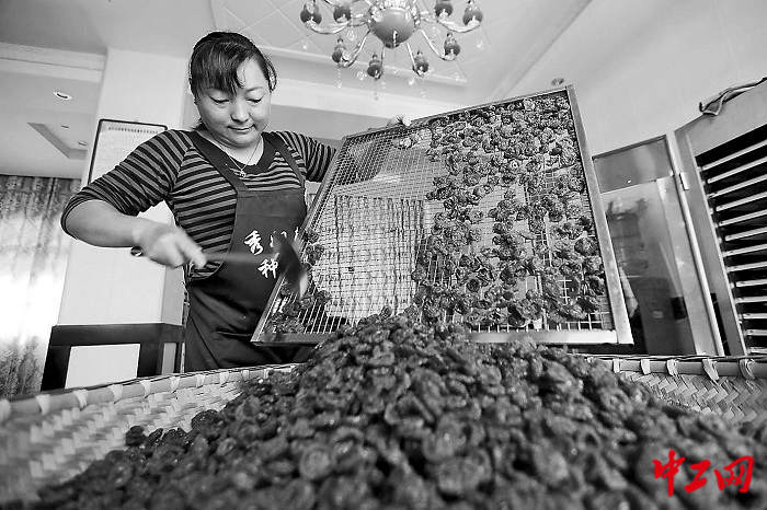 3267961_tpzz_1766471136372_b