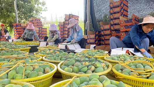 安徽：“劳模产品专柜”产品创新交流展示活动举办