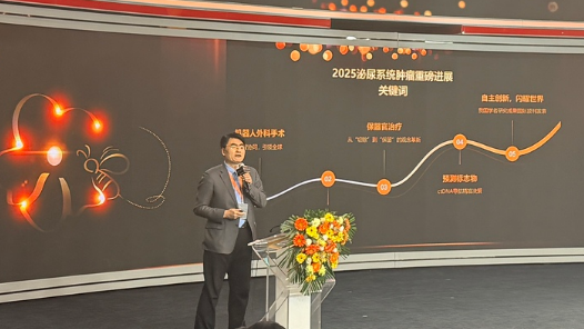 专家齐聚金山茶花计划总结交流，共探癌症防控新路径