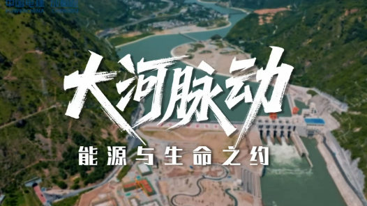 大河脉动：能源与生态之约