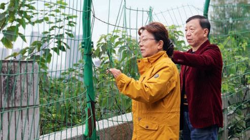 重庆老厂拆迁记——半个世纪的工业记忆和温暖终章