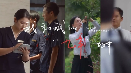 我和我的“九章”故事