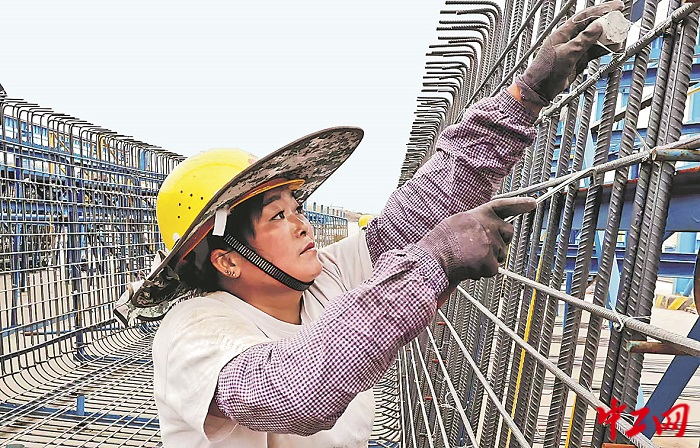 3269794_tpzz_1766565844976_b