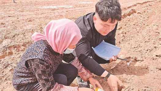 田世龙的泥土情缘