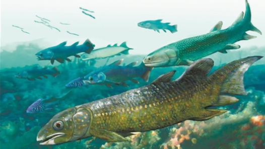 云南古嵴鱼化石填补早期肺鱼“演化缺环”