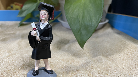 国务院学位委员会印发《博士硕士学位授予资格审核办法》