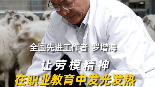 大家说思政丨全国先进工作者罗增海：让劳模精神在职业教育中发光发热