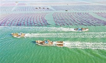 生态环境部发布第四批美丽海湾优秀案例和美丽海湾名单