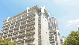 河南鹤壁化解不动产登记历史遗留问题 靶向施策打通群众办证堵点