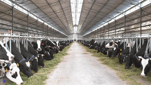 三部门联合发文推广农业设施和畜禽活体抵押融资